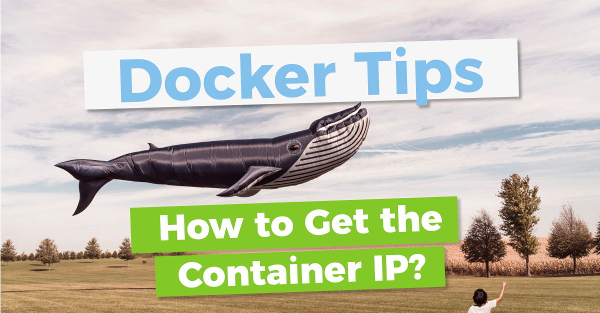 how to know docker ip address