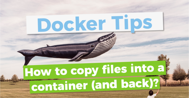 Copying files from the host to a Docker container and back | Docker tips